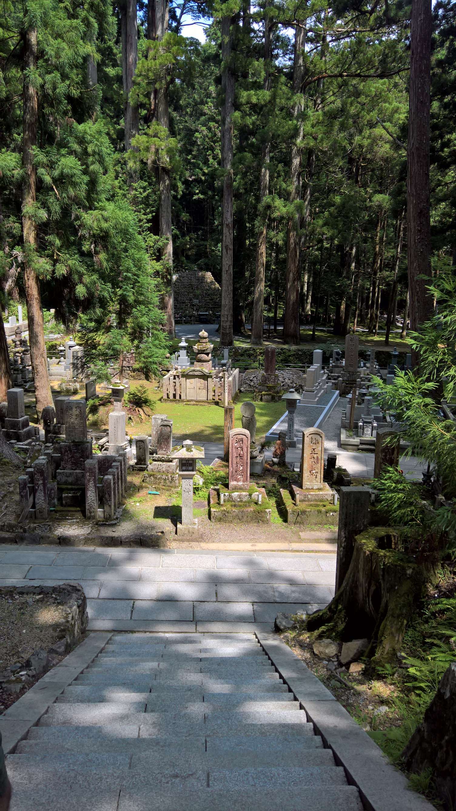 WP 20160722 13 50 52 Rich LI