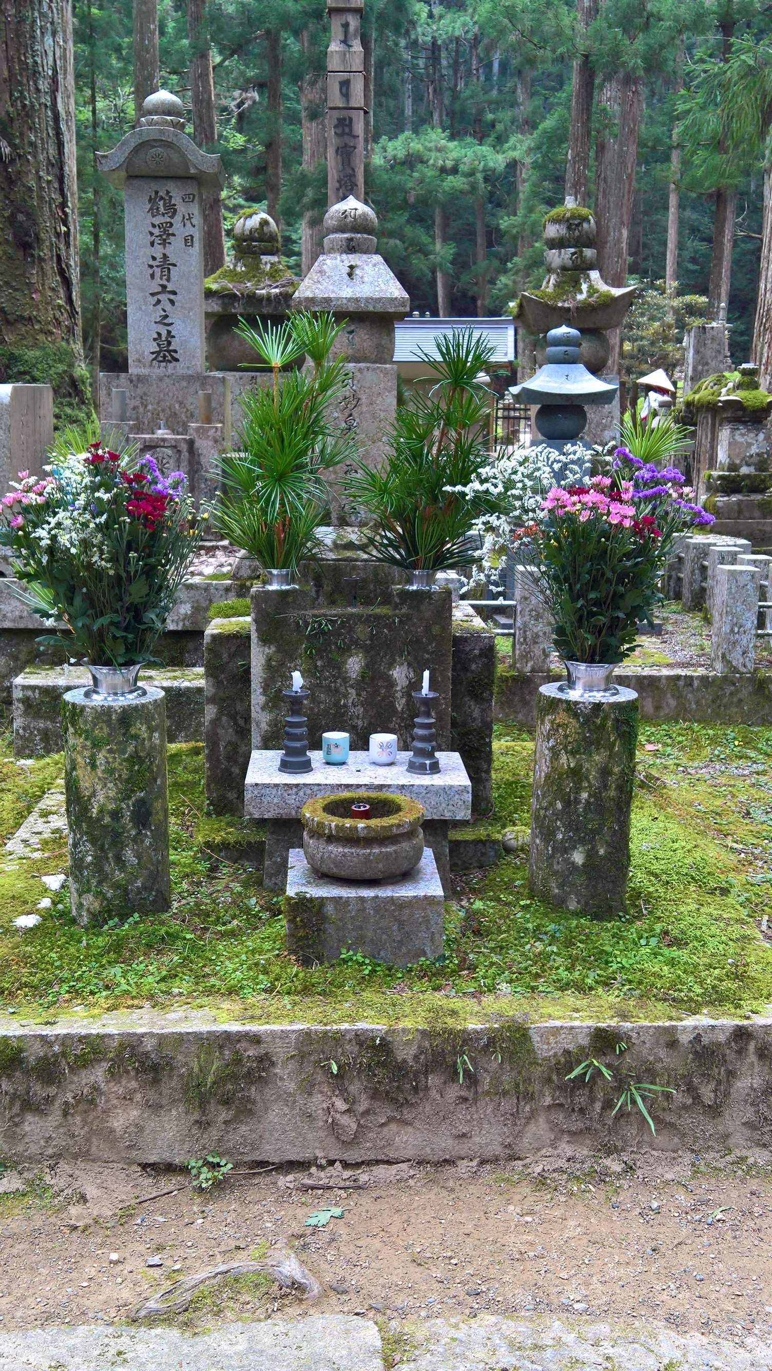 WP 20160722 13 55 33 Rich LI