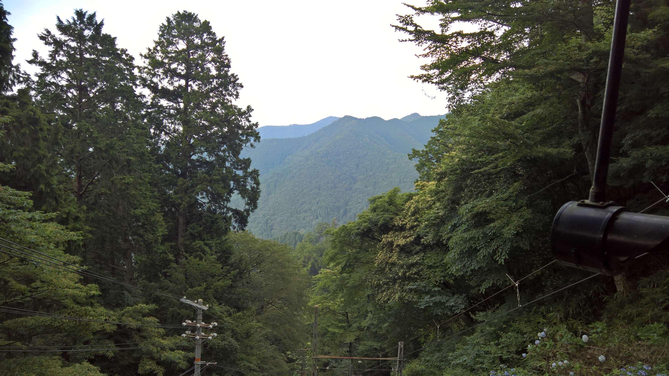 WP 20160722 16 43 06 Rich LI