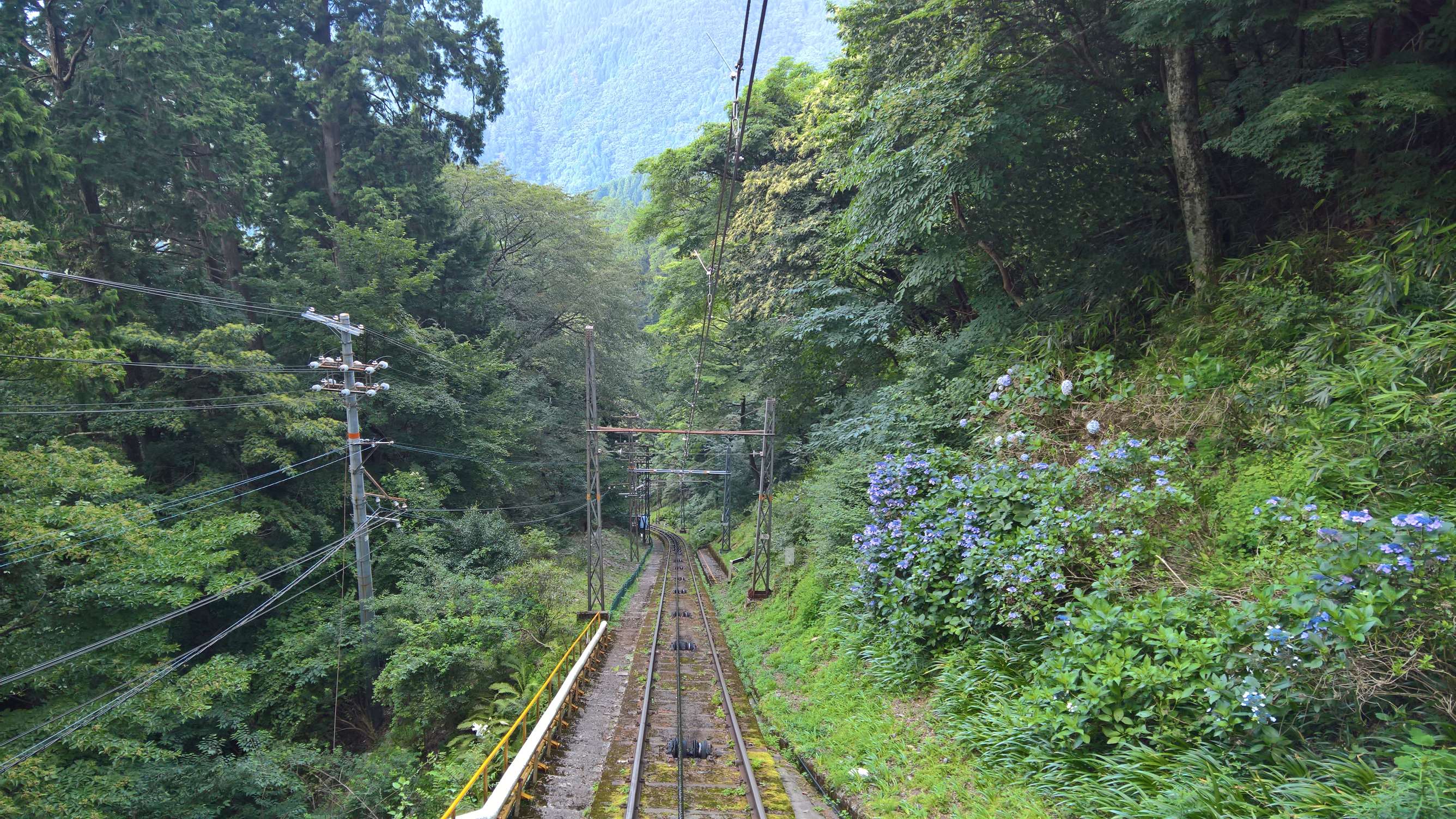 WP 20160722 16 45 48 Rich LI