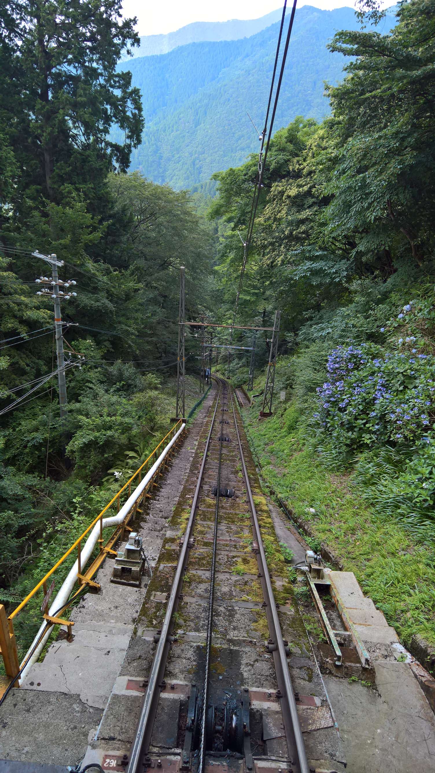 WP 20160722 16 45 54 Rich LI