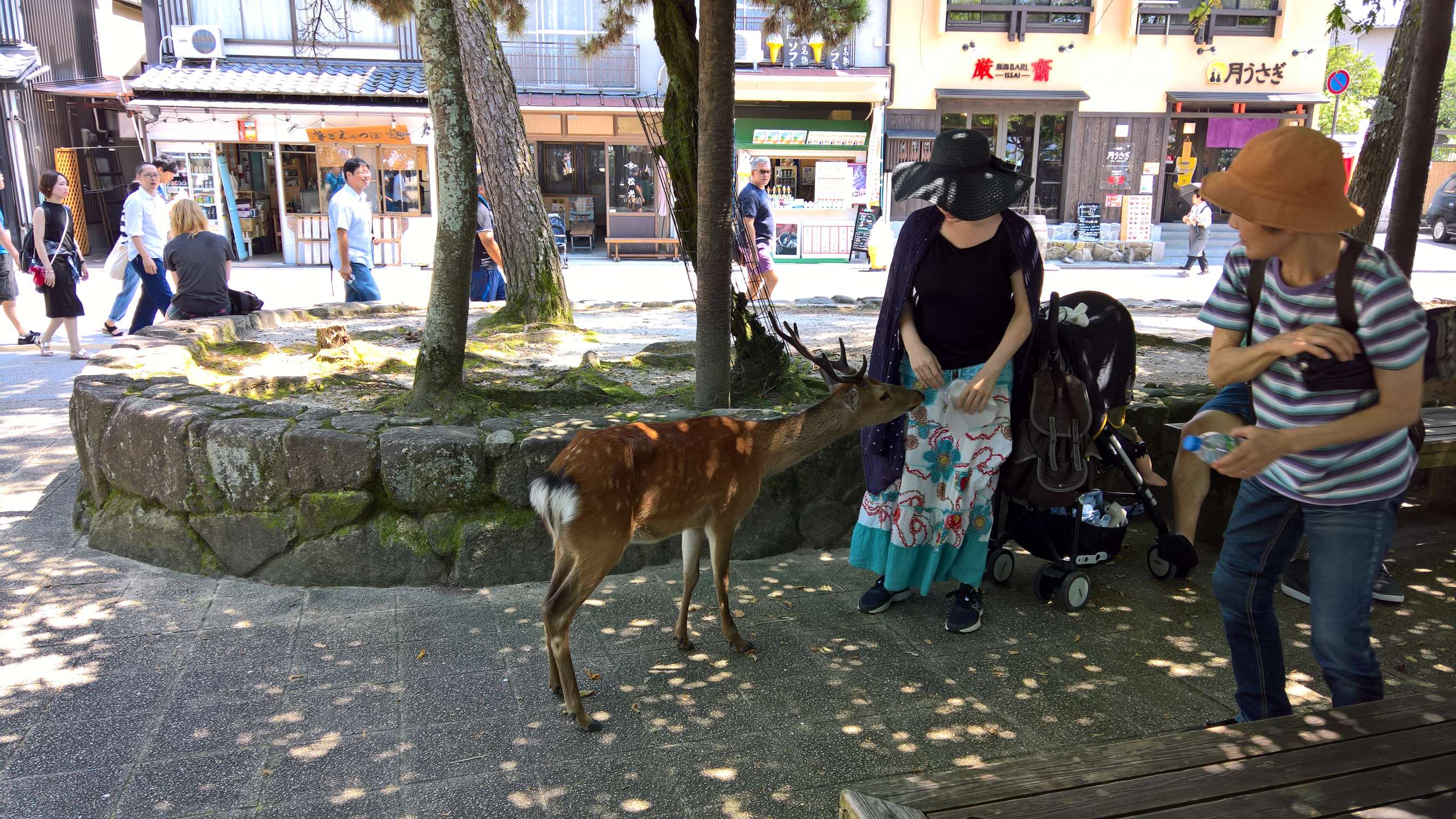 WP 20160723 13 37 47 Rich LI