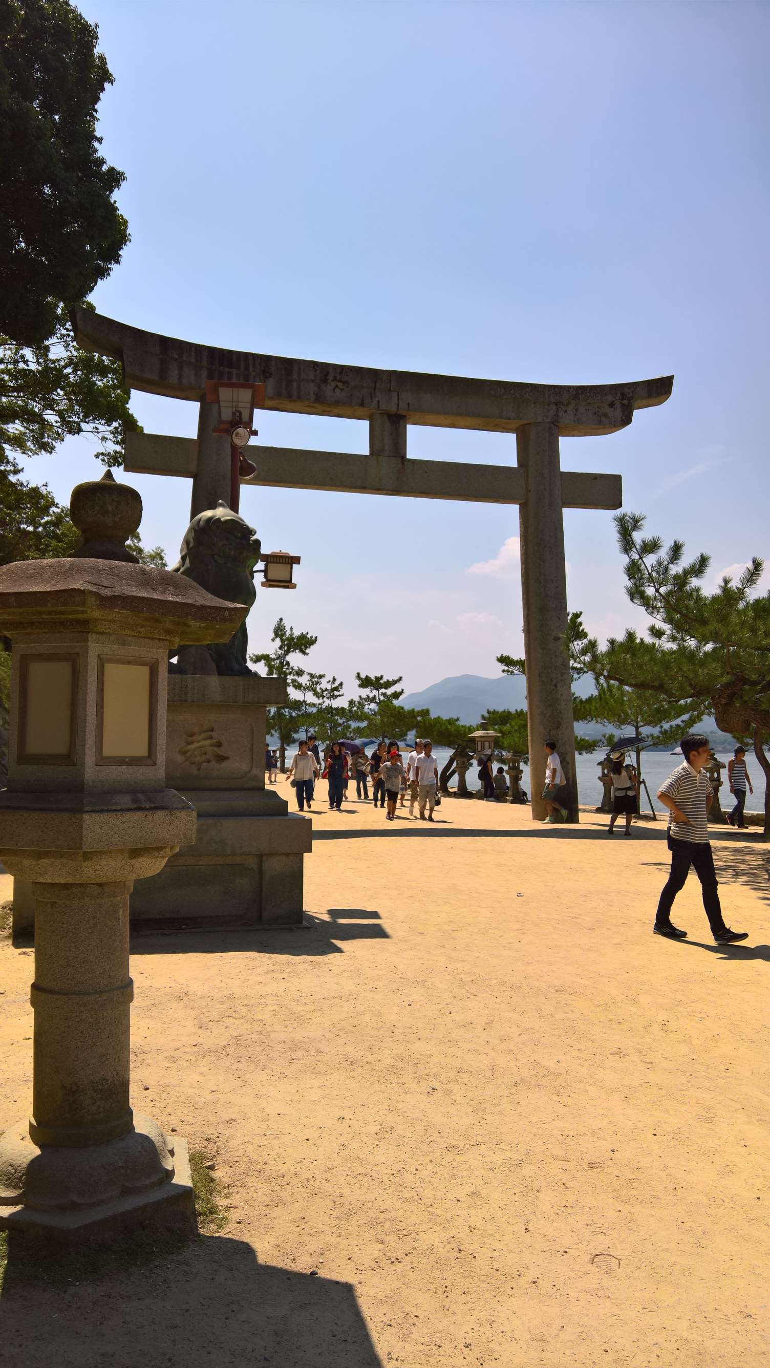 WP 20160723 13 52 12 Rich LI