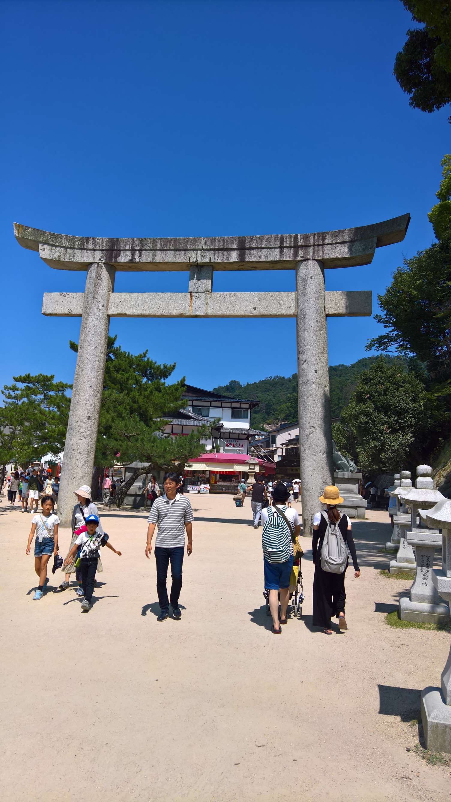 WP 20160723 13 53 25 Rich LI