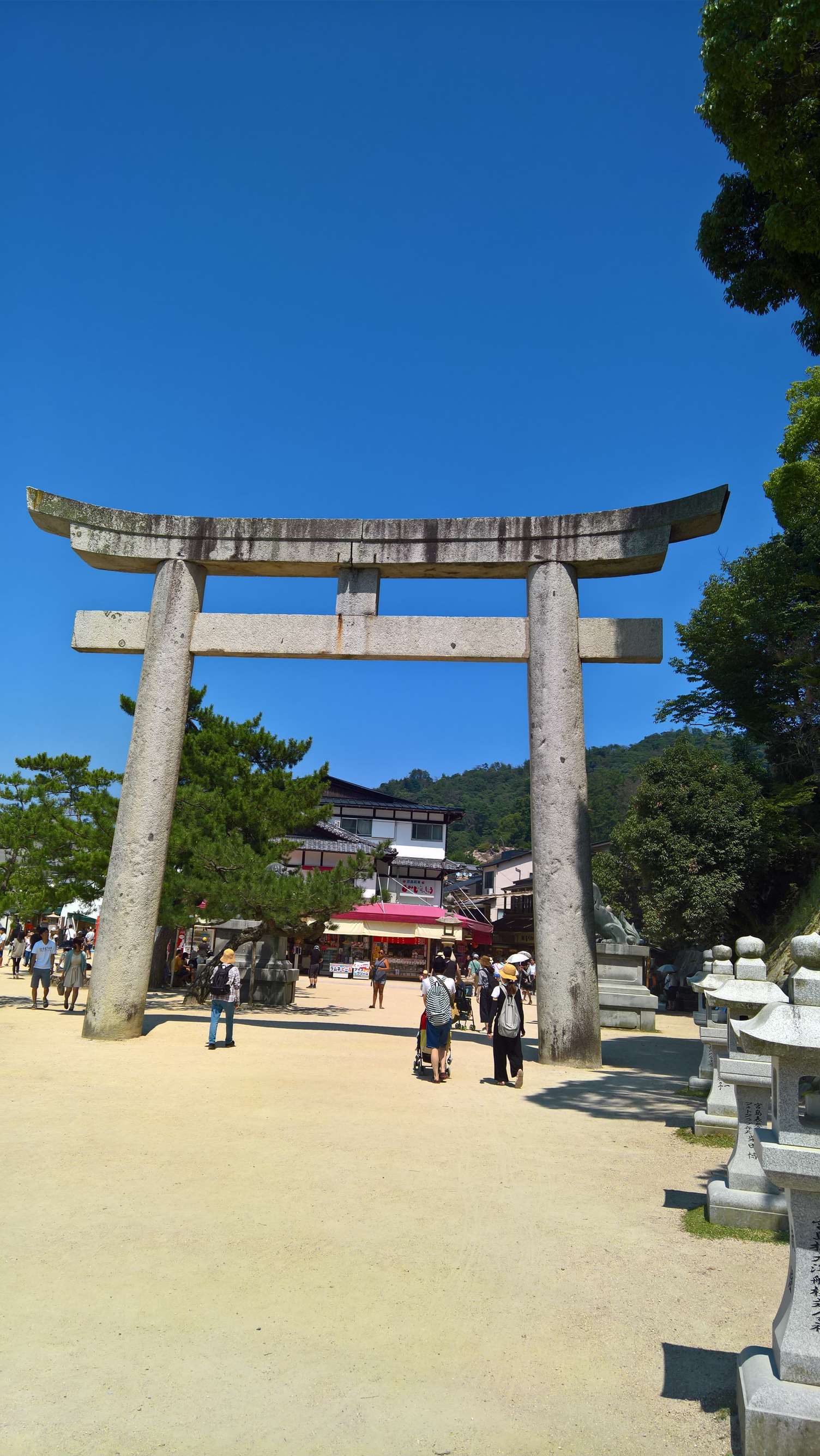 WP 20160723 13 53 33 Rich LI