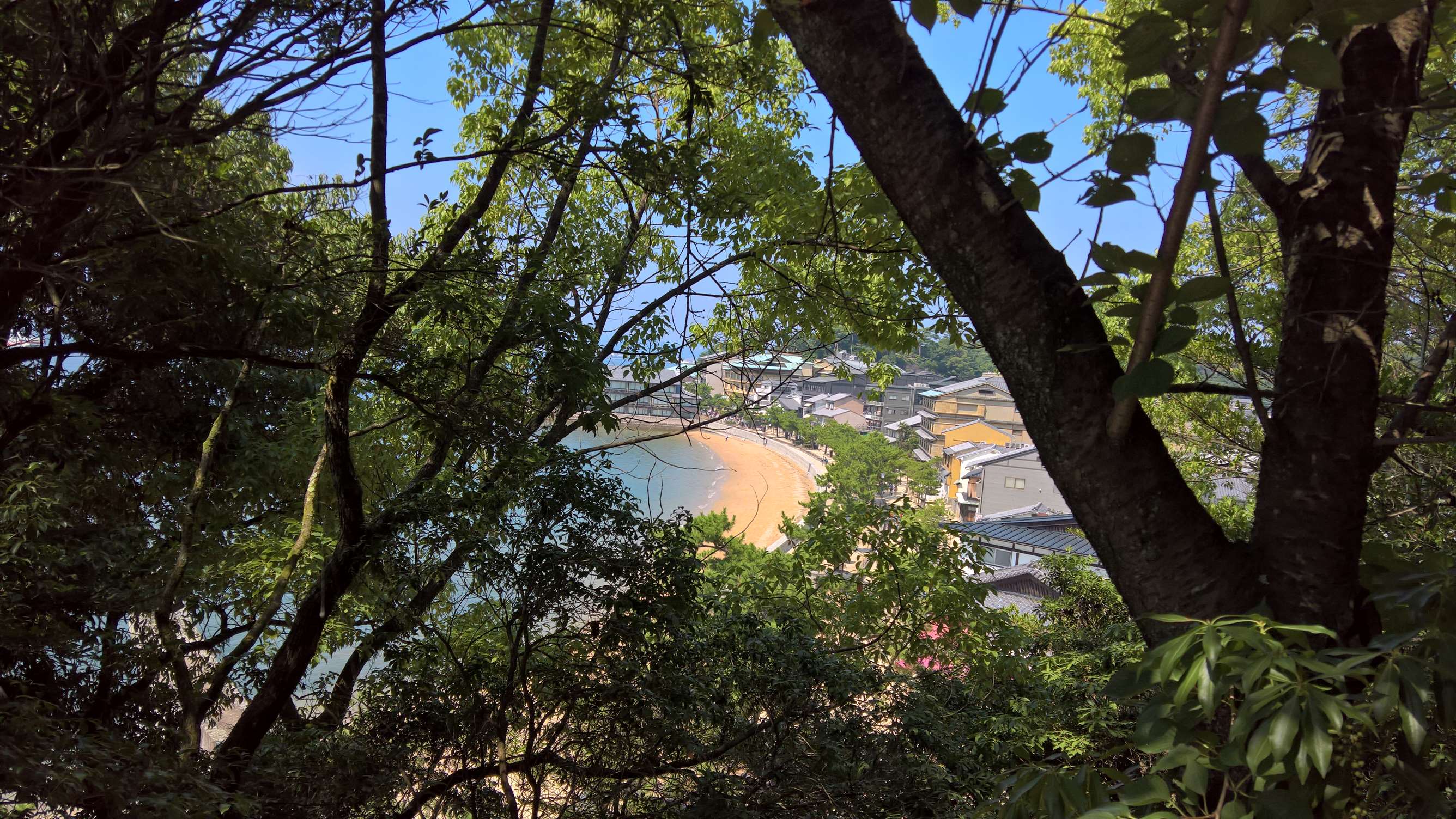 WP 20160723 14 16 24 Rich LI