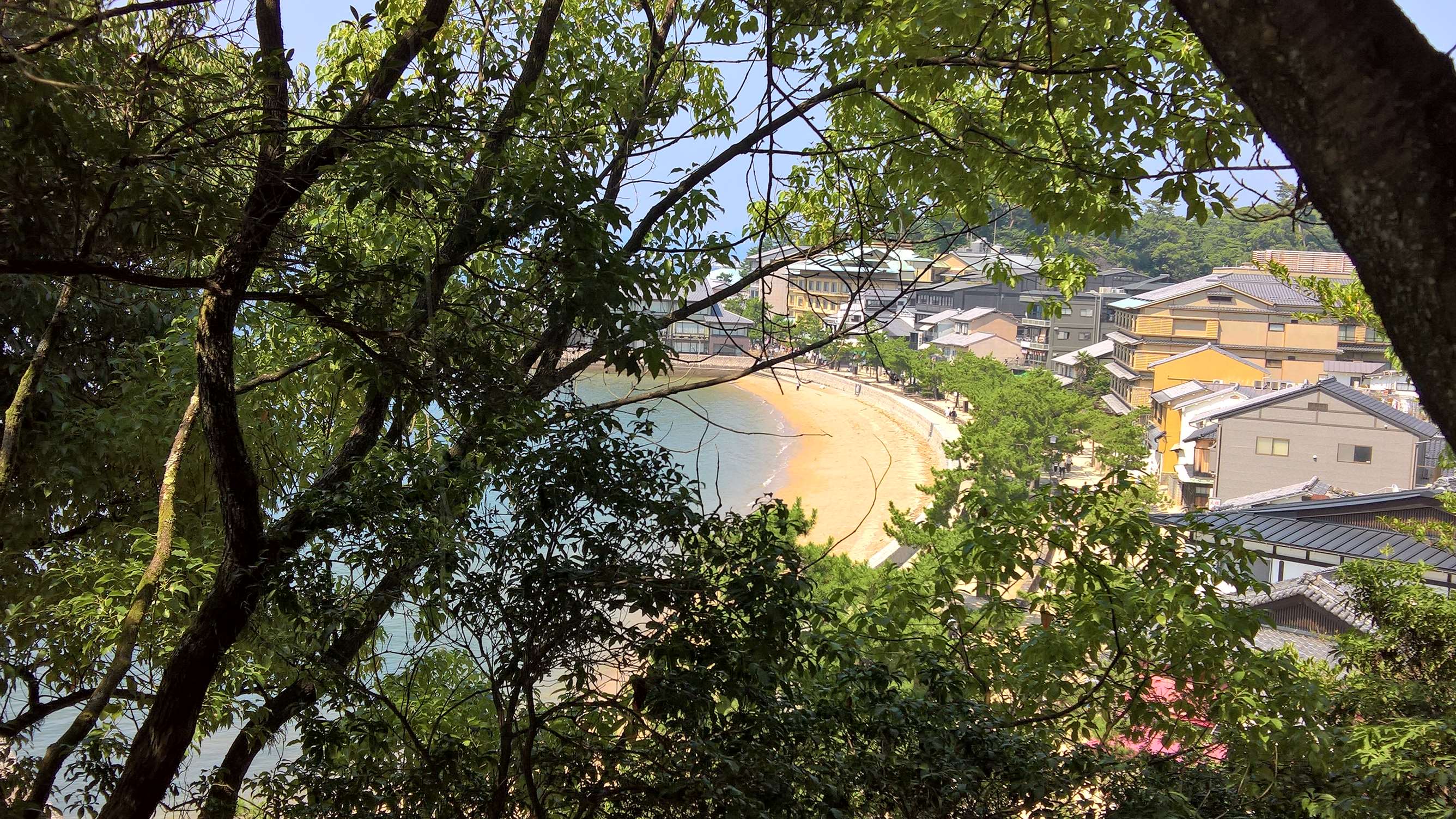 WP 20160723 14 16 29 Rich LI