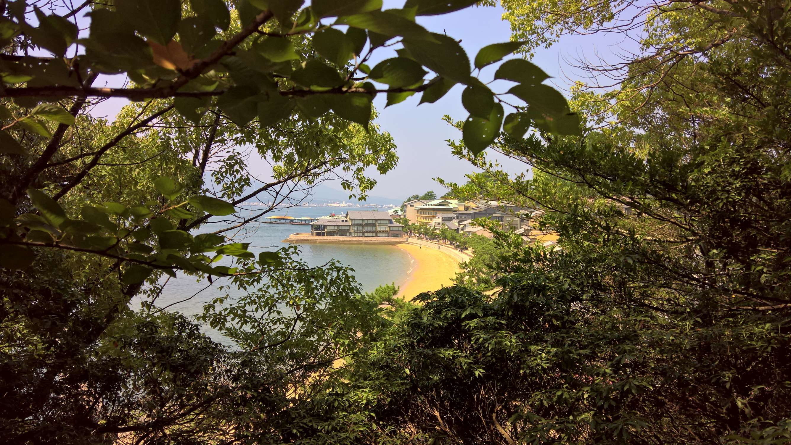 WP 20160723 14 16 45 Rich LI