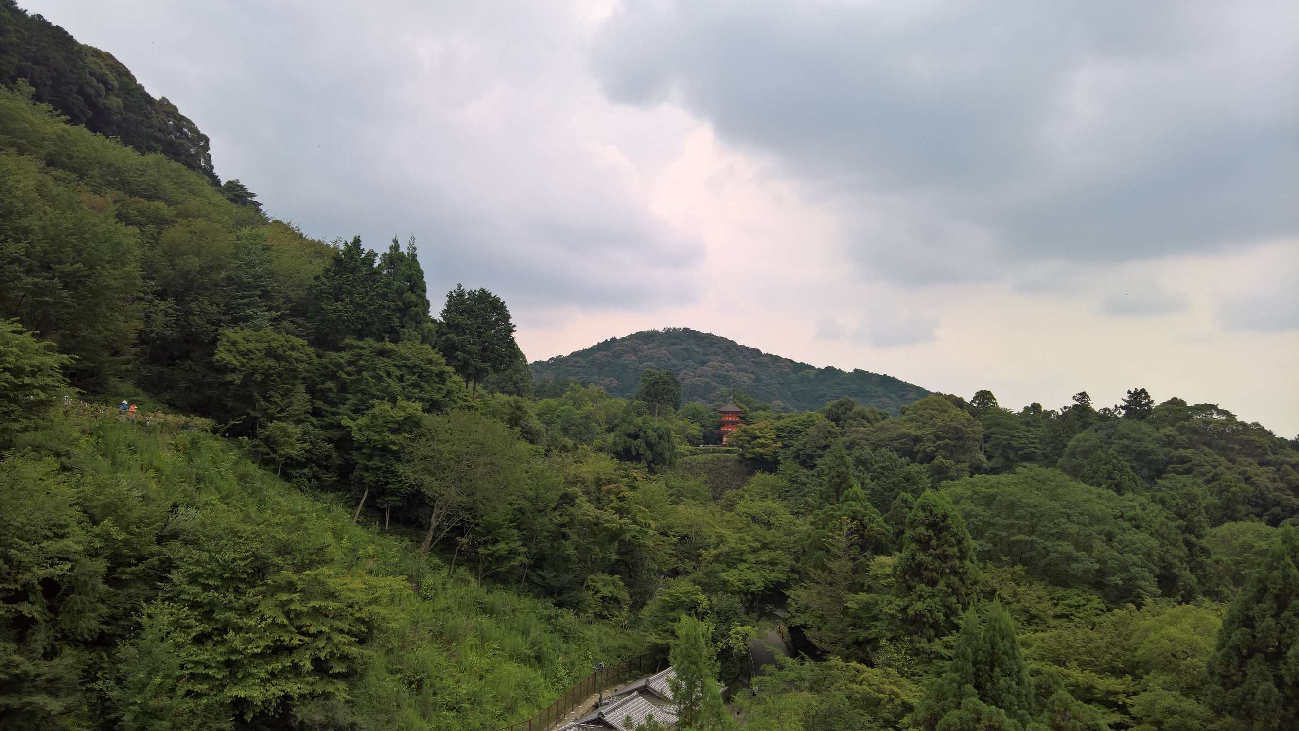 WP 20160725 13 45 16 Rich LI