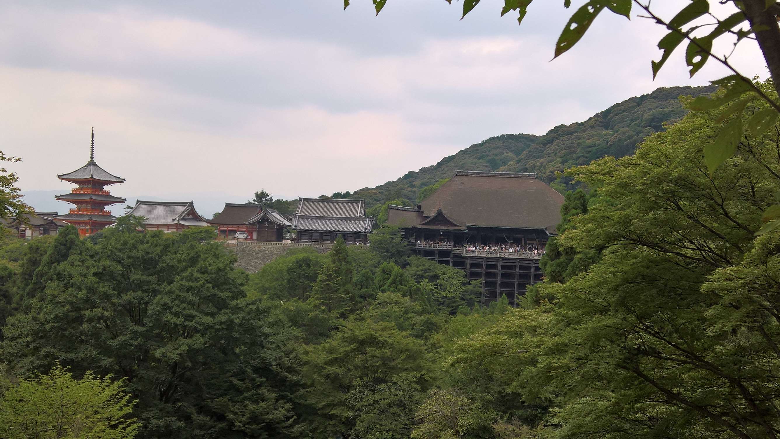 WP 20160725 13 57 16 Rich LI