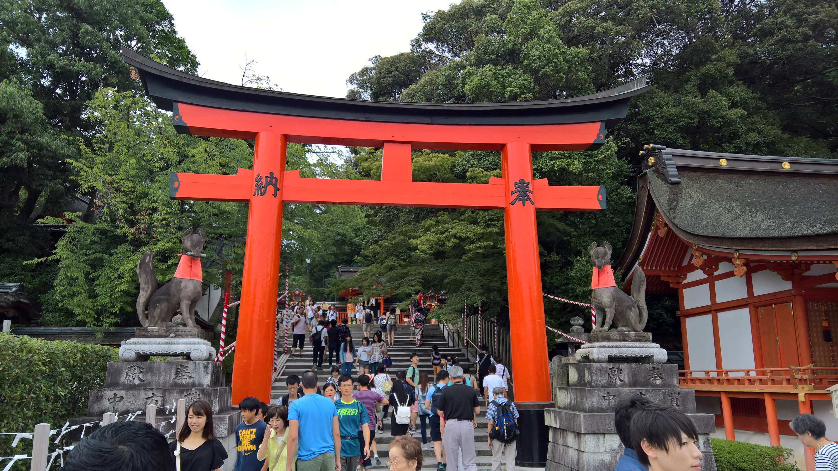 WP 20160725 16 00 53 Rich LI