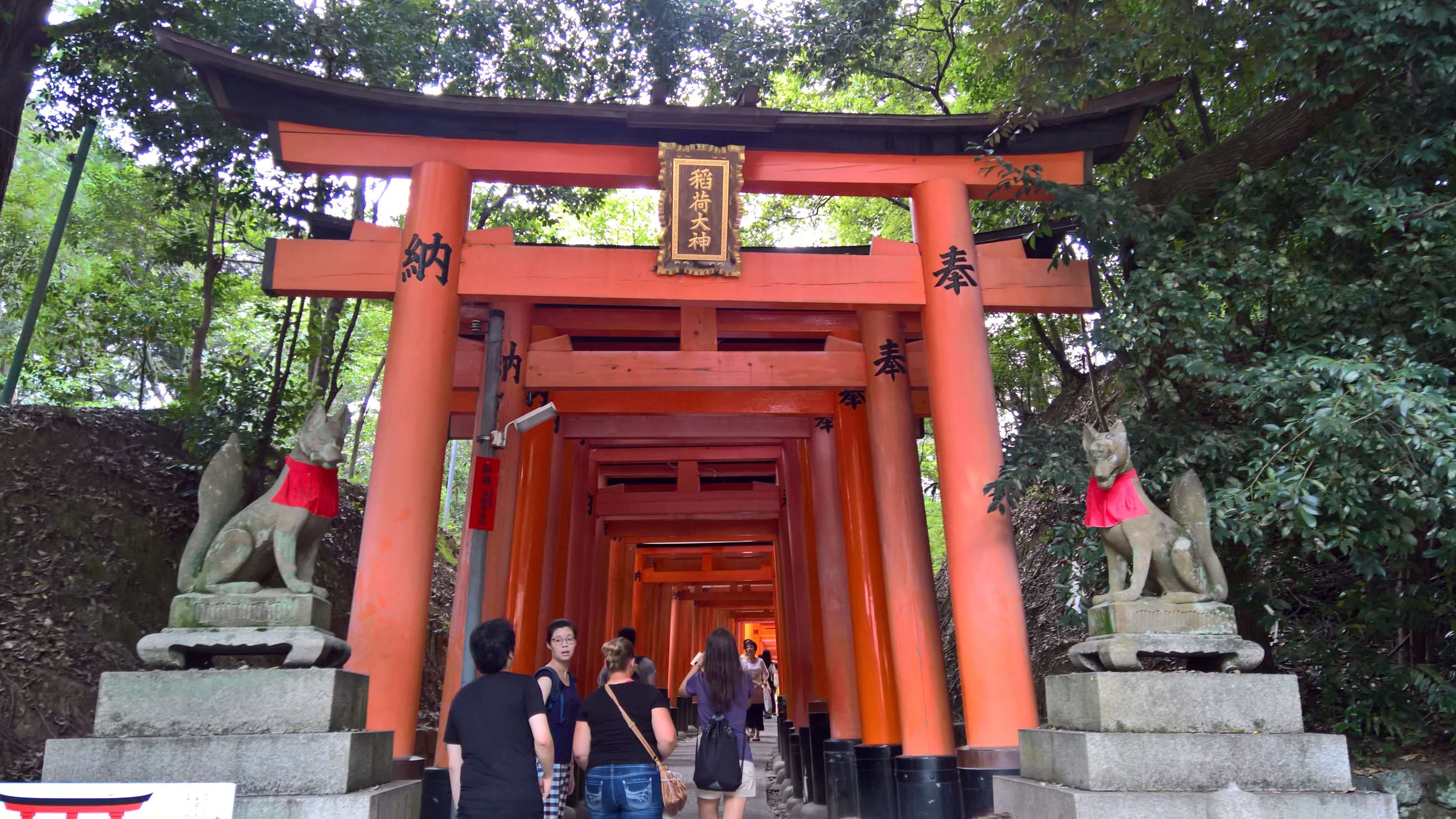 WP 20160725 16 07 58 Rich LI