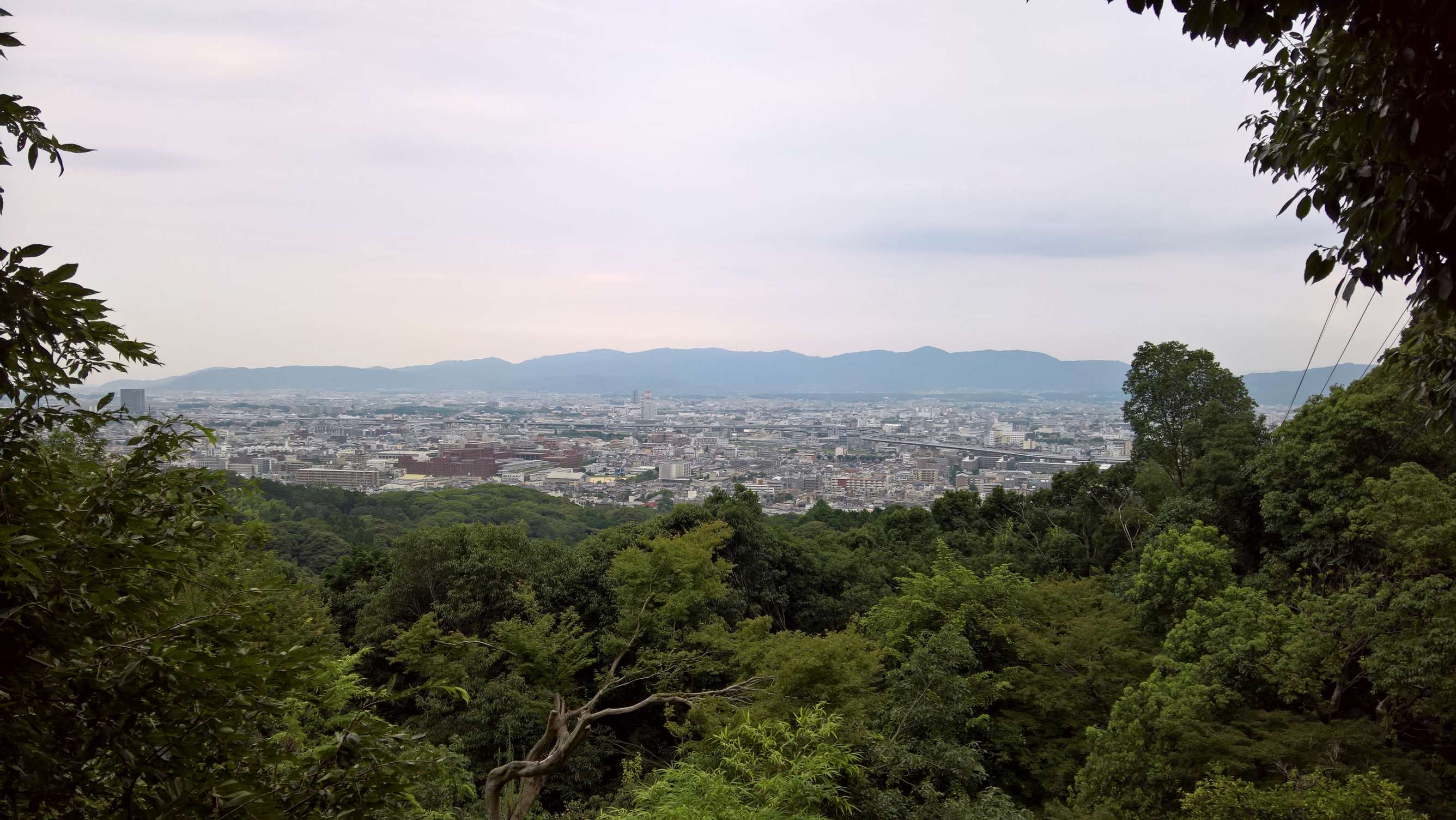 WP 20160725 16 39 18 Rich LI