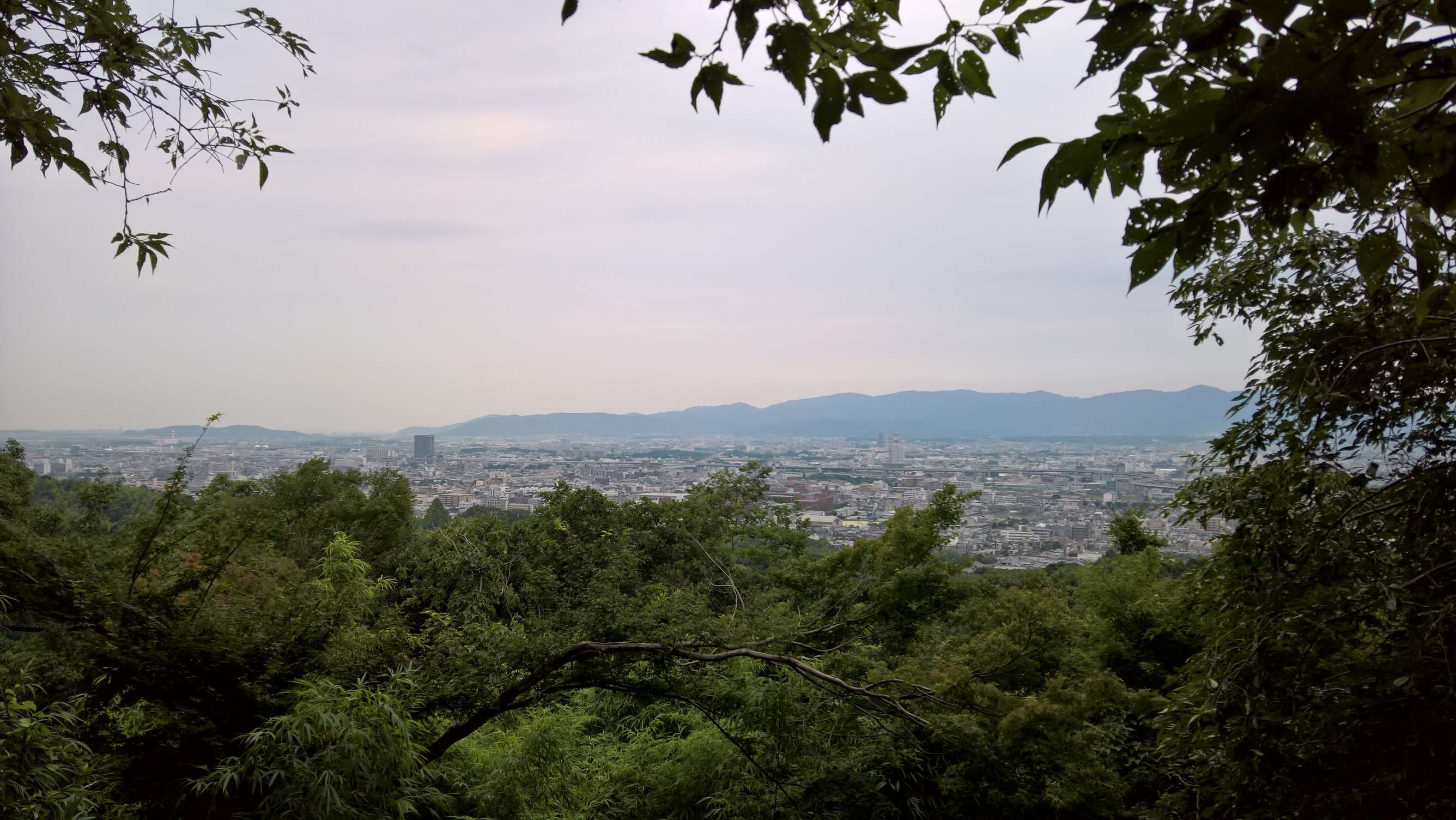 WP 20160725 16 39 40 Rich LI