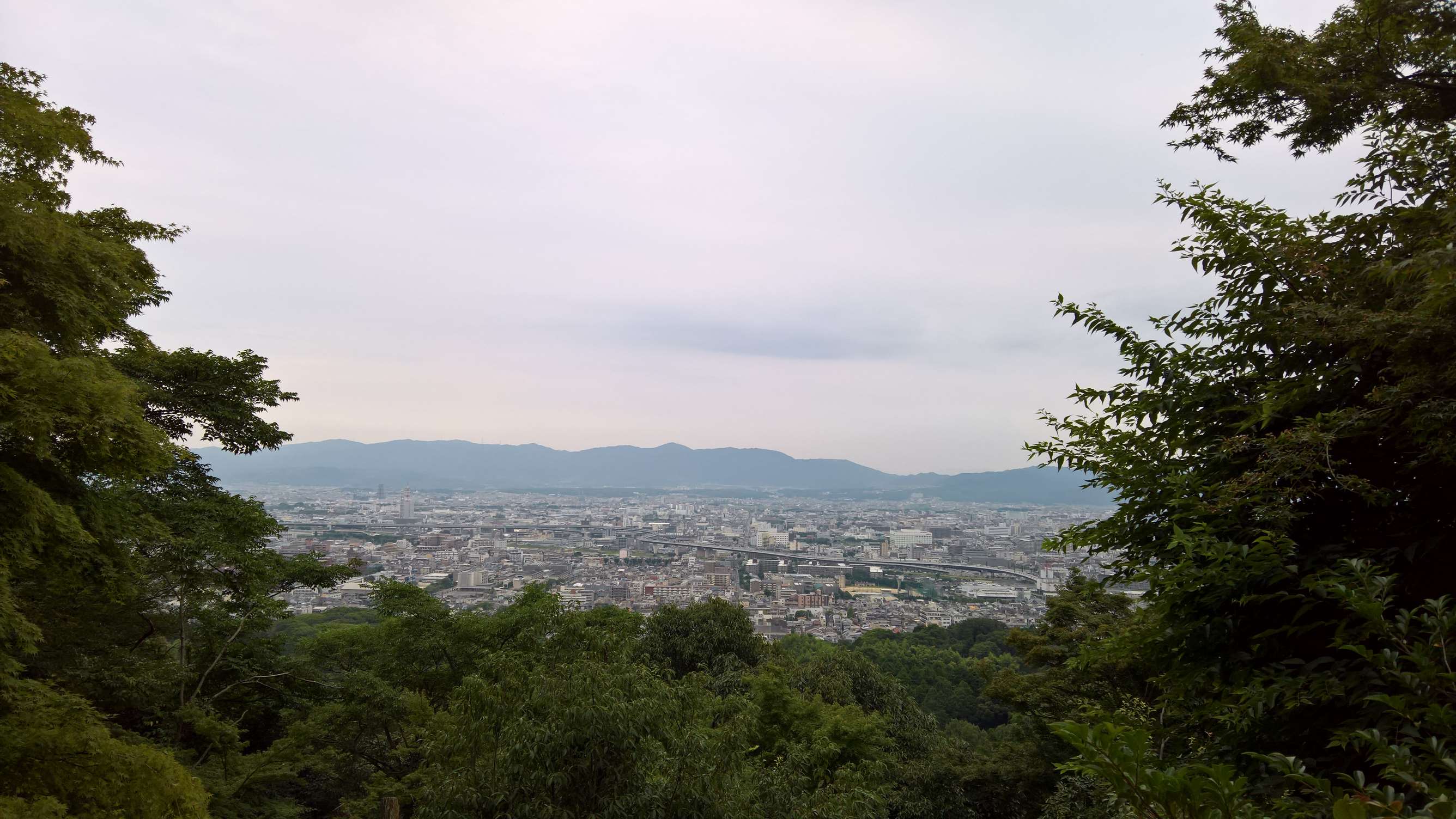 WP 20160725 16 42 06 Rich LI