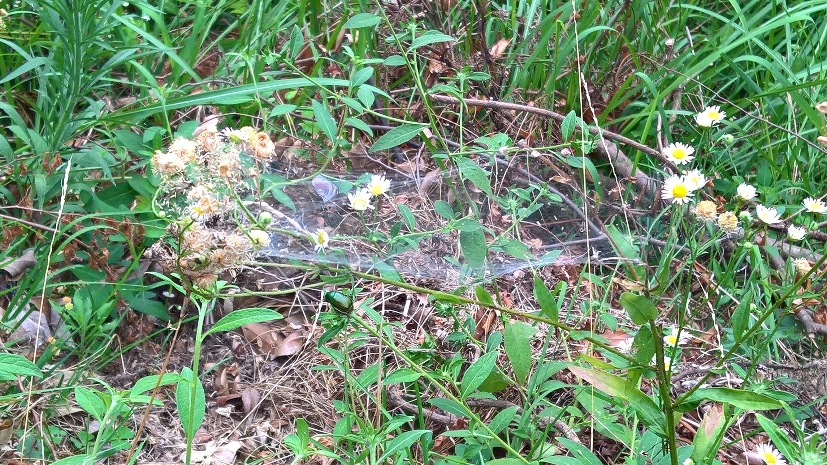 WP 20160725 16 42 20 Rich LI