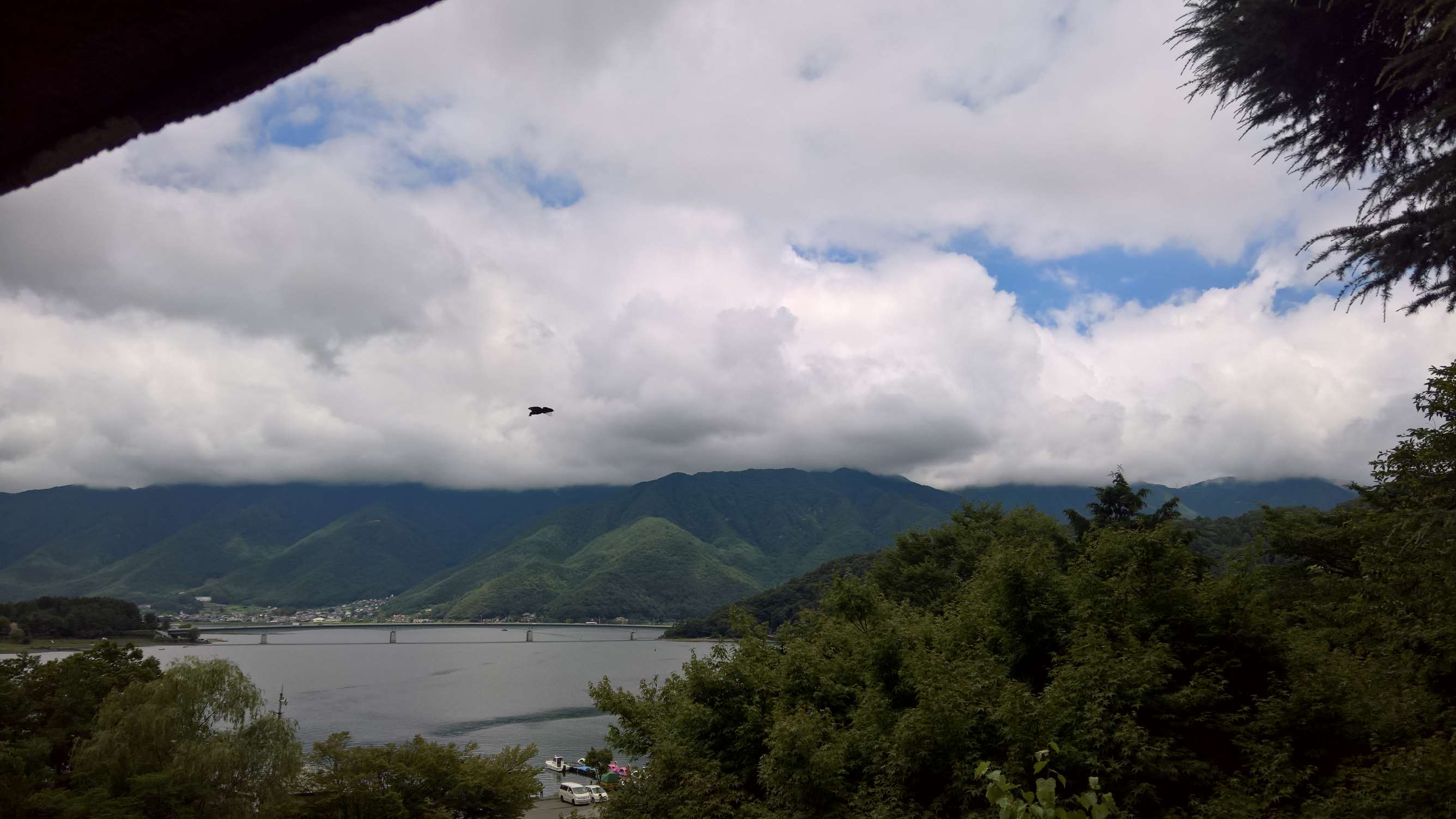 WP 20160727 11 37 48 Rich LI