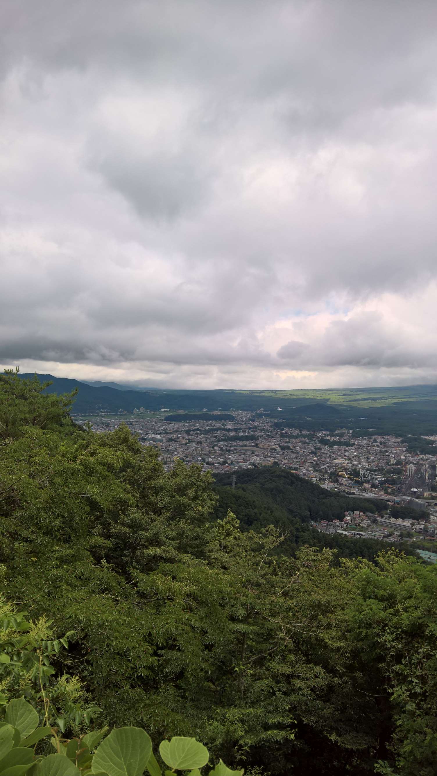 WP 20160727 11 52 02 Rich LI