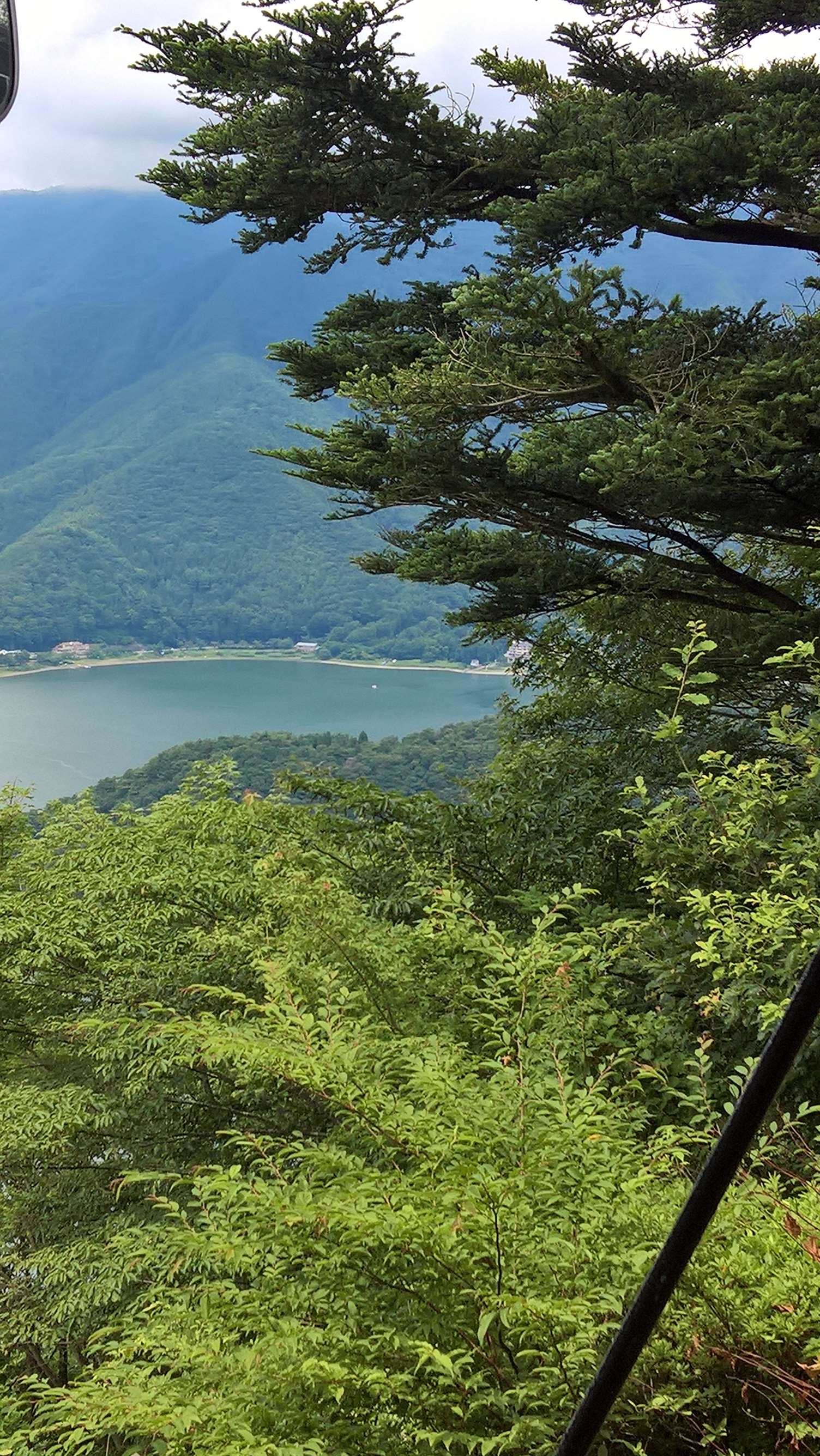 WP 20160727 12 10 54 Rich LI