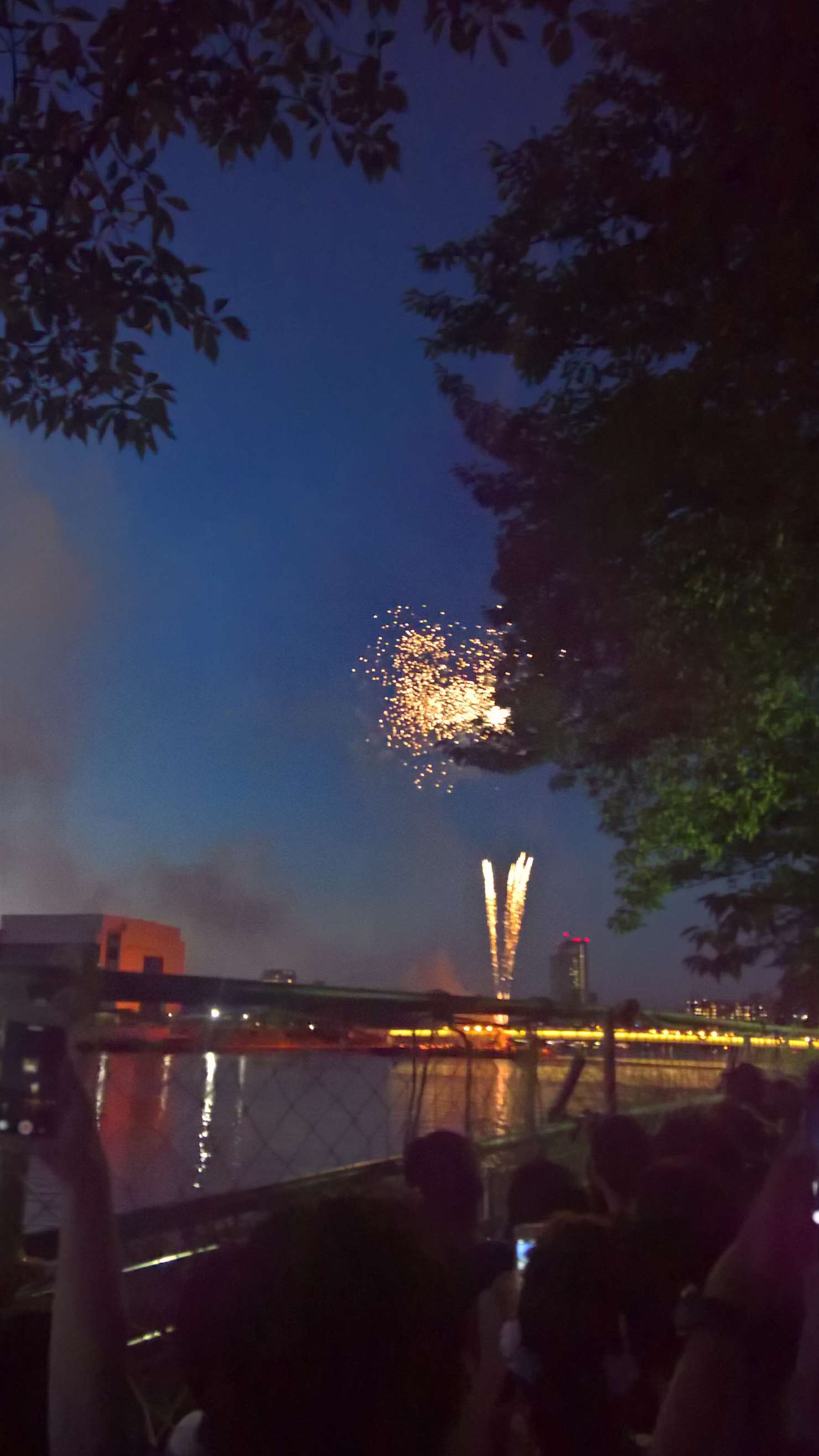 WP 20160730 19 19 52 Rich LI