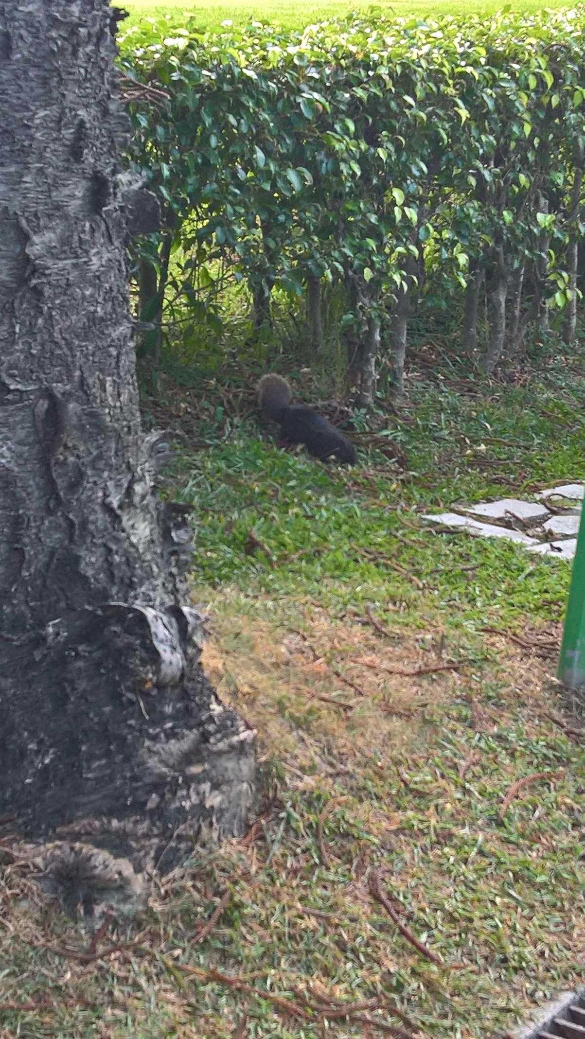 WP 20160804 17 18 57 Rich LI