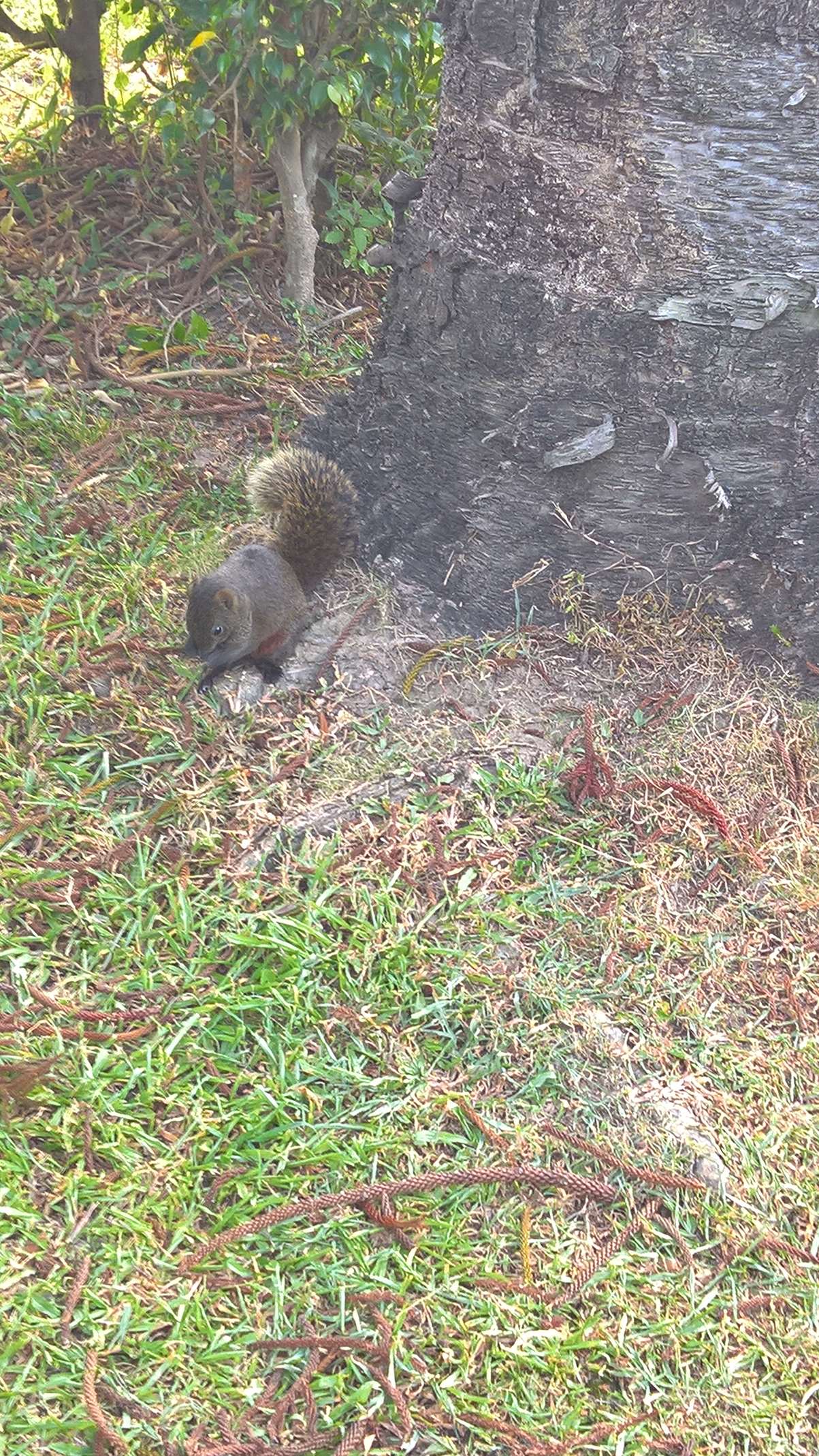 WP 20160804 17 19 22 Rich LI