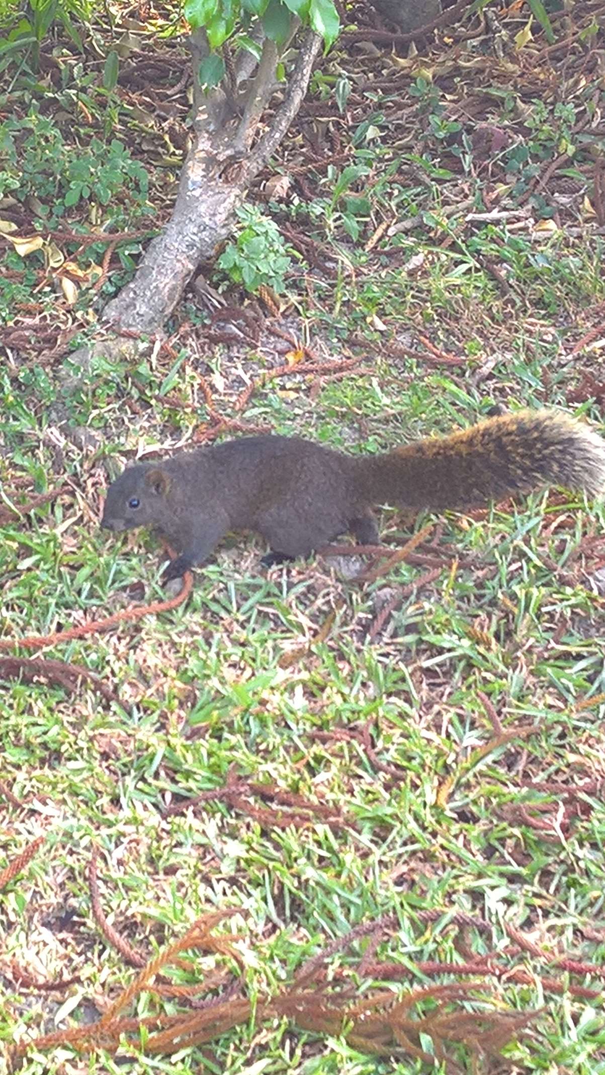 WP 20160804 17 19 43 Rich LI