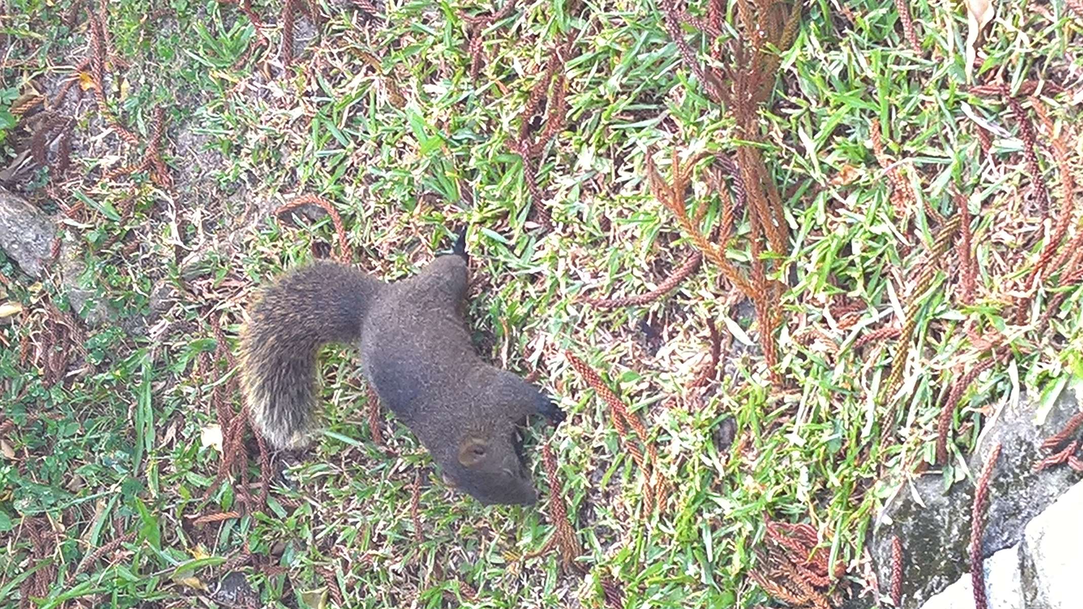 WP 20160804 17 20 00 Rich LI