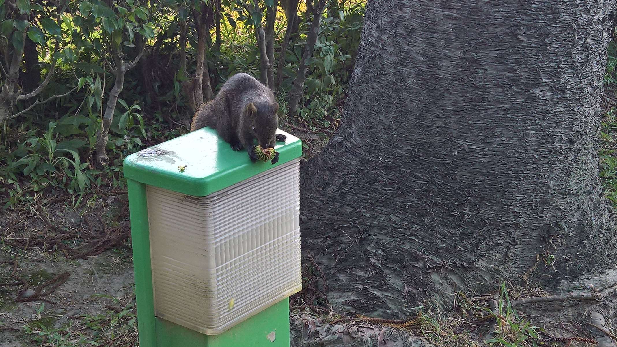 WP 20160804 17 21 20 Rich LI