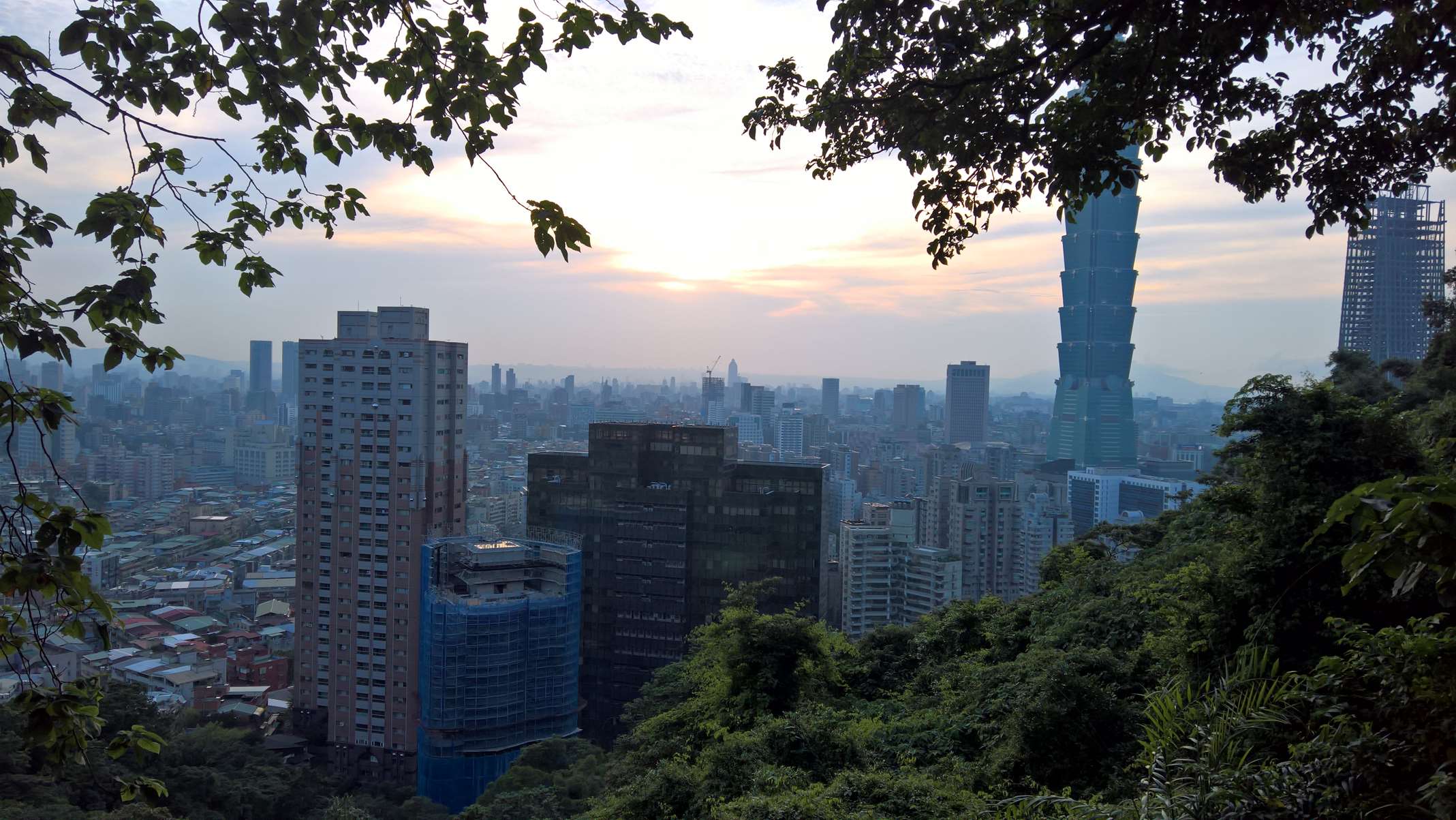 WP 20160805 18 07 04 Rich LI