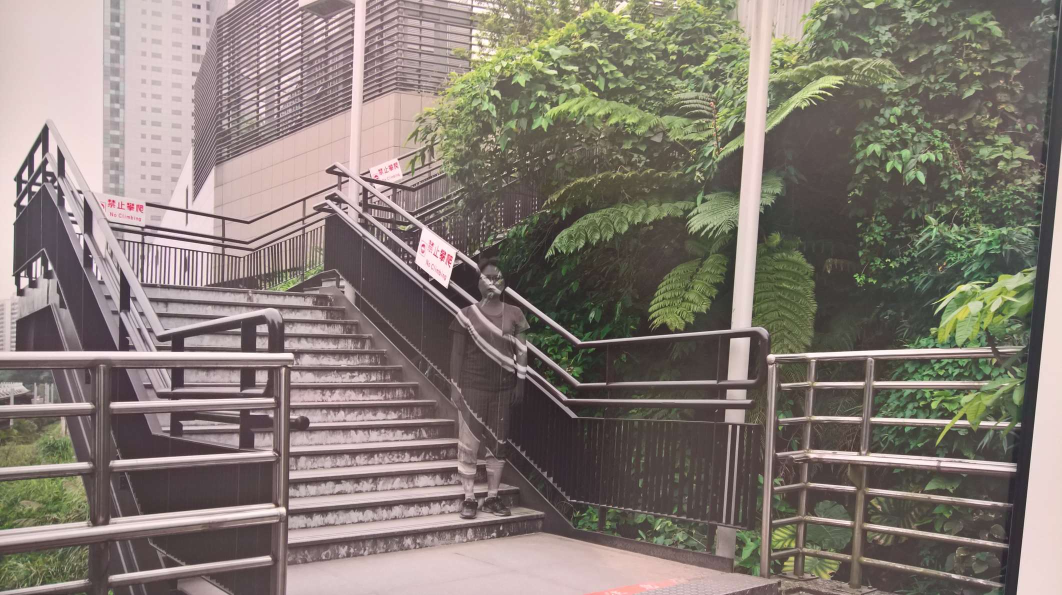 WP 20160806 15 12 54 Rich LI