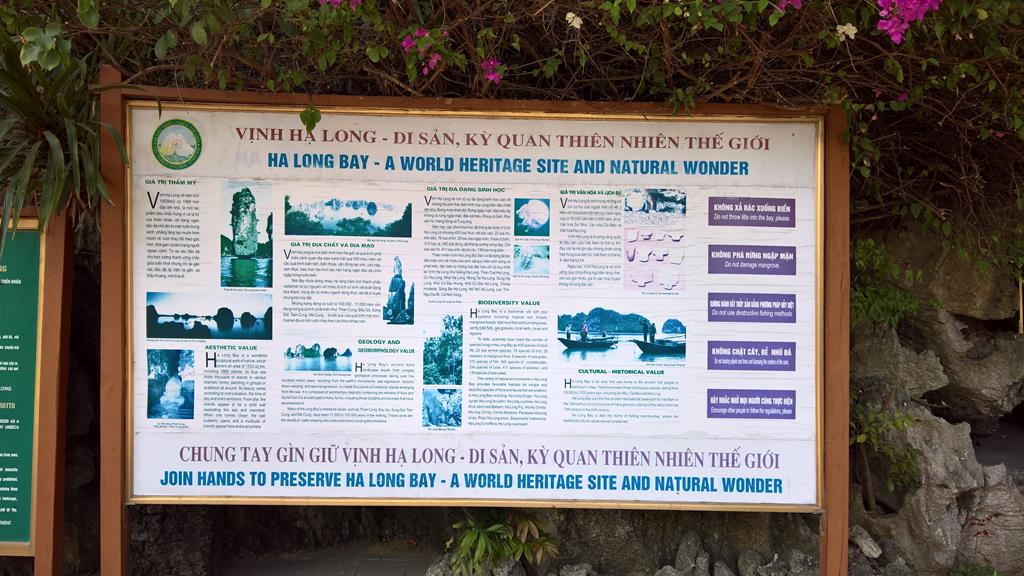 WP 20161228 09 42 46 Rich